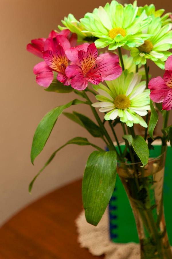 Westphal Mansion Inn Bed & Breakfast Hartford Екстер'єр фото